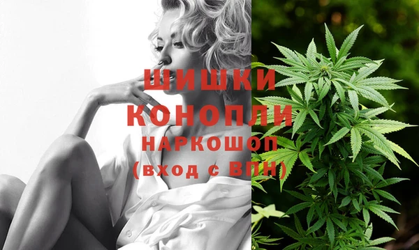 амф Заволжье