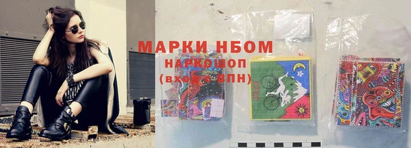 амф Заволжье