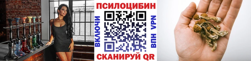 blacksprut ссылки  Судогда  Псилоцибиновые грибы ЛСД  хочу наркоту 